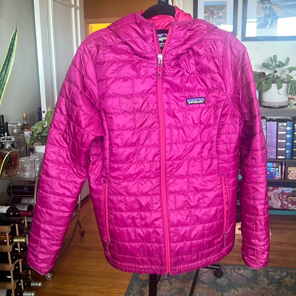 Patagonia hoodie